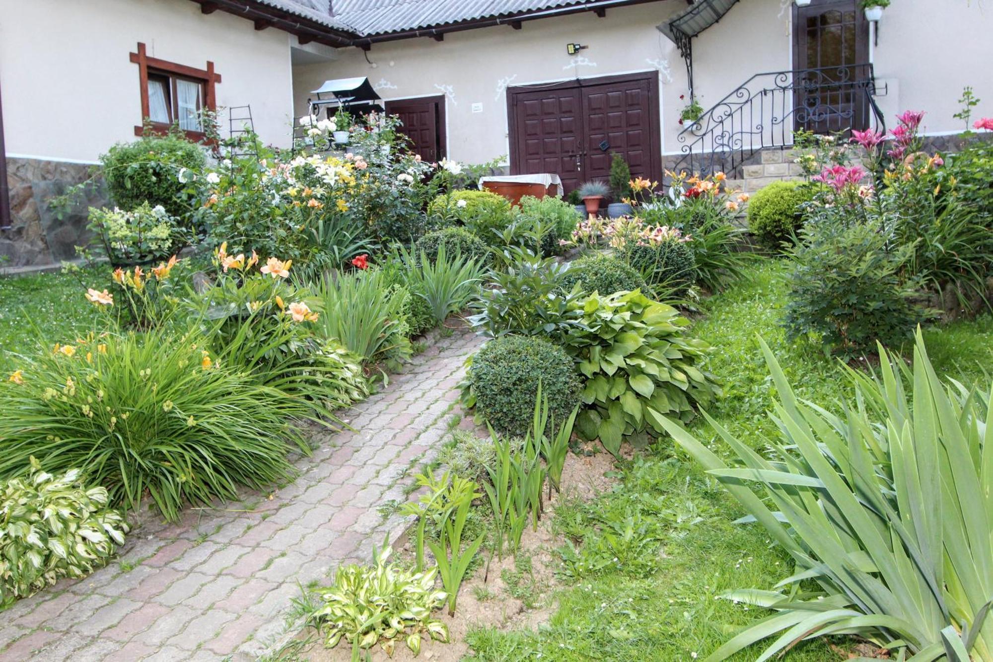 Котедж "Красний Краєвид" Yaremtche Extérieur photo
