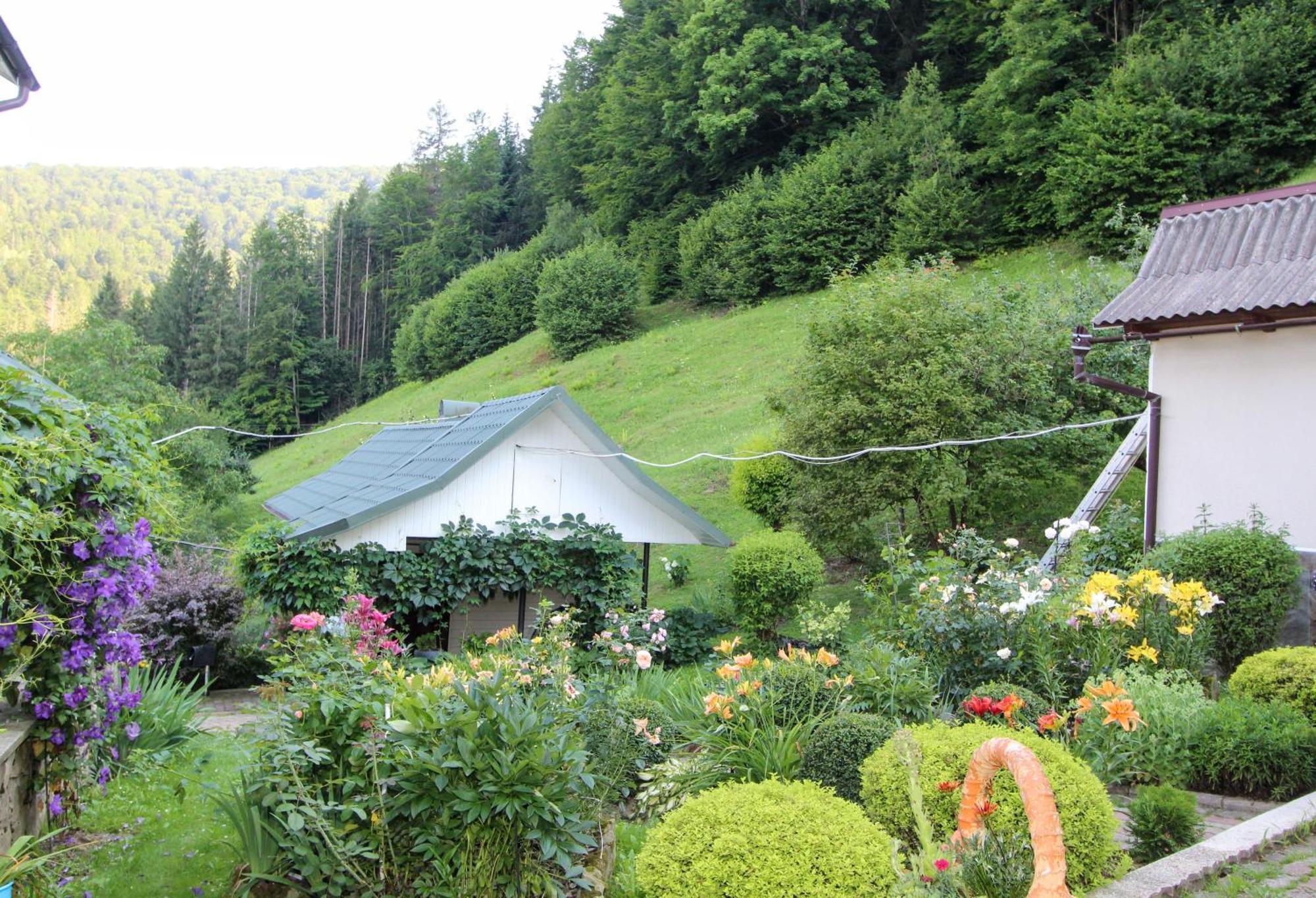 Котедж "Красний Краєвид" Yaremtche Extérieur photo
