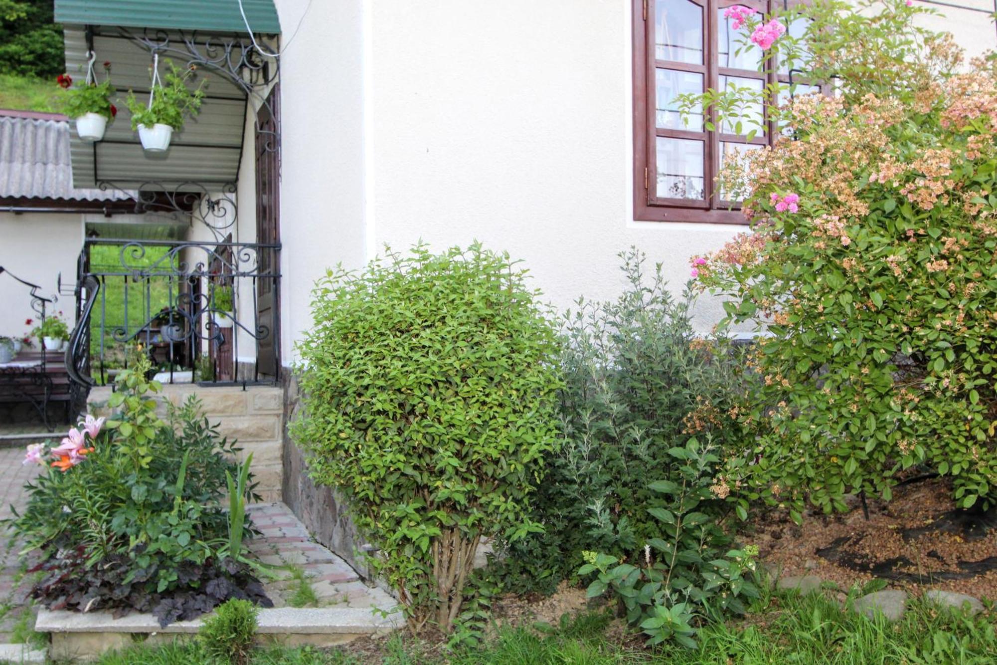 Котедж "Красний Краєвид" Yaremtche Extérieur photo