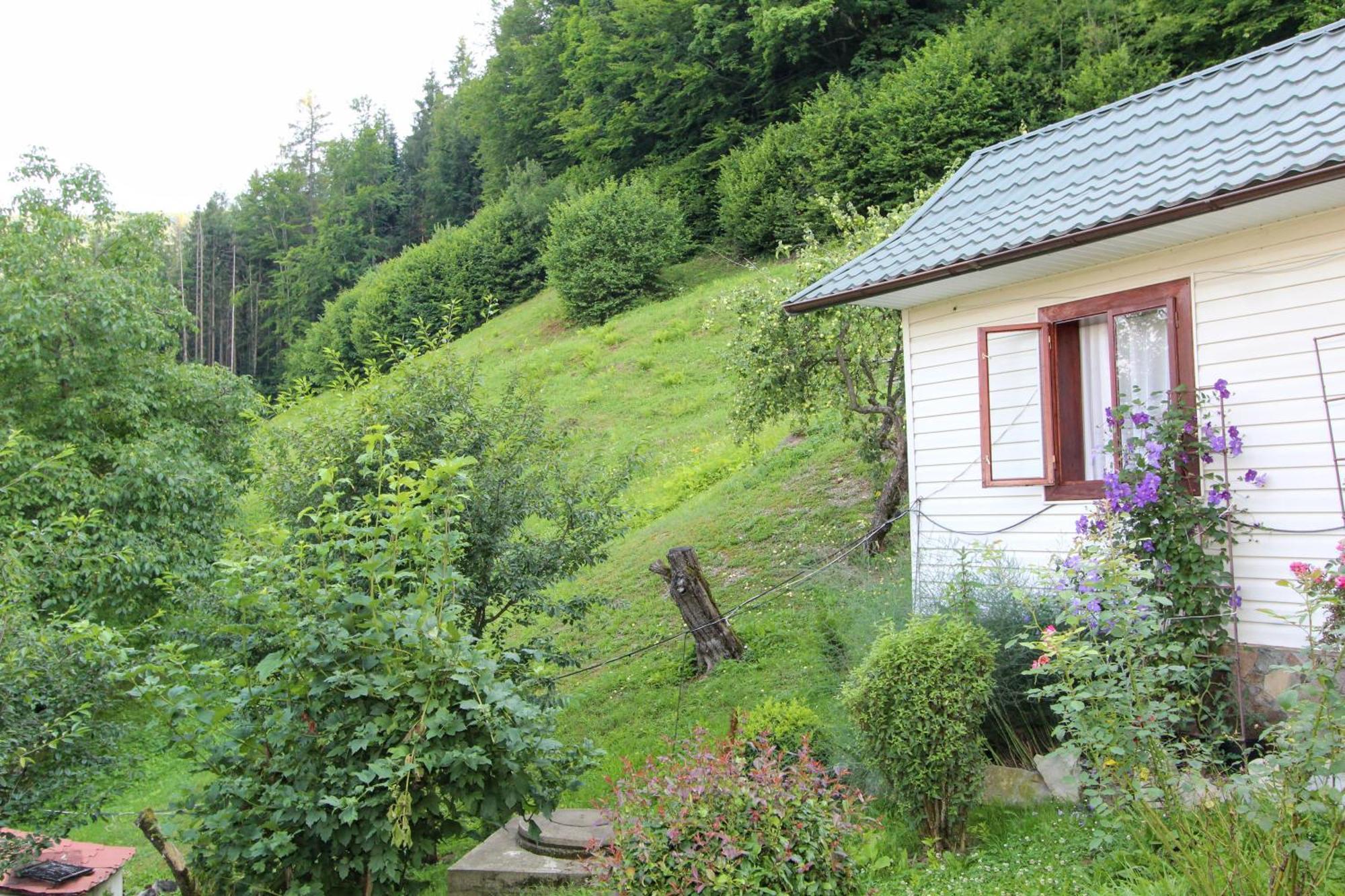 Котедж "Красний Краєвид" Yaremtche Extérieur photo
