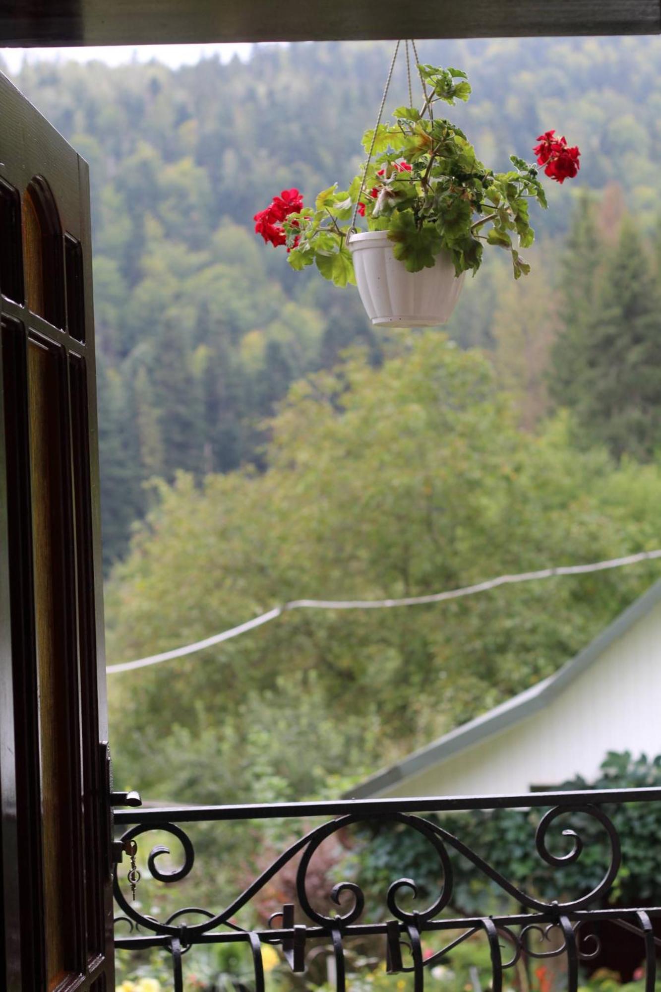 Котедж "Красний Краєвид" Yaremtche Chambre photo